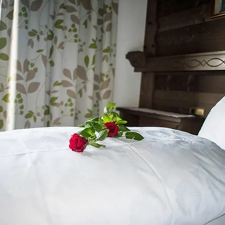 Apartment - Zillertal 841